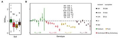 Untangling the Pea Root Rot Complex Reveals Microbial Markers for Plant Health